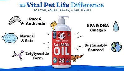 Salmon Oil for Dogs