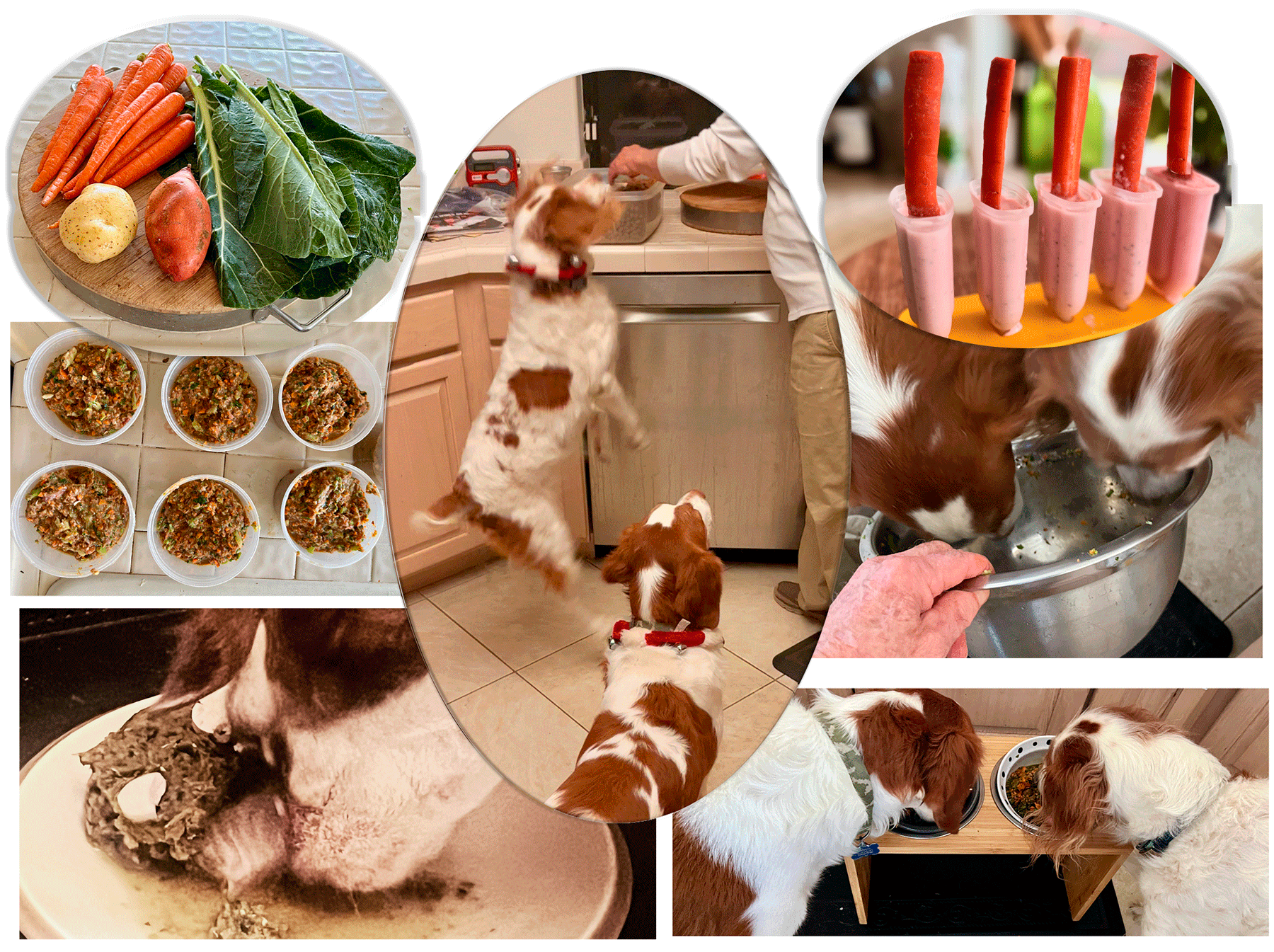 Making The new BAARF Diet